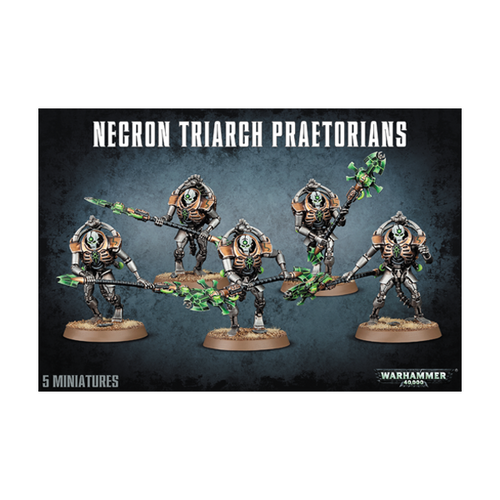 Necrons - Triarch Praetorians / Lychguard