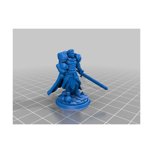 Miniatura - Humano Paladin M [RM-00]