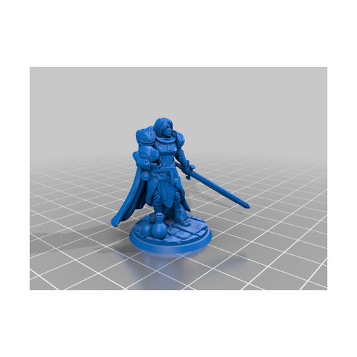 Miniatura - Humana Paladin F [RM-40]