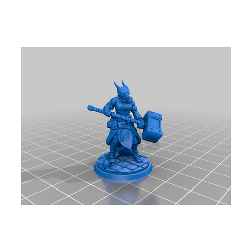 Miniatura - Dragonborn Paladin F [RM-49]