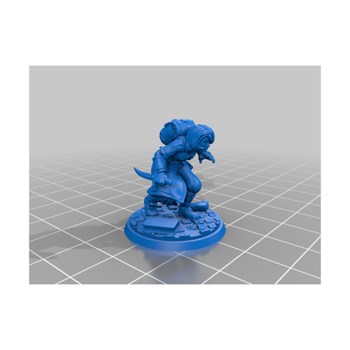 Miniatura - Humana Rogue F [RM-60]