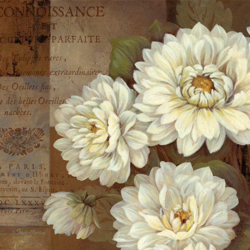 Gladding Pamela patina Dahlia Floreale cm73X73 Immagine su CARTA TELA PANNELLO CORNICE Quadrata