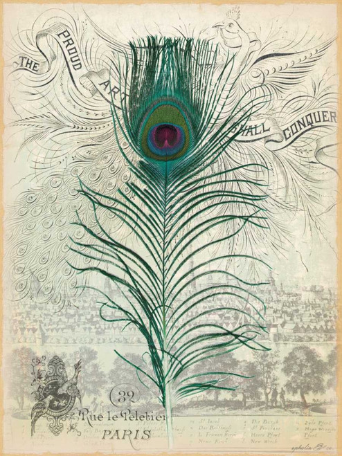 Ophelia and Co Peacock Feather 1 Botanico cm73X54 Immagine su CARTA TELA PANNELLO CORNICE Verticale