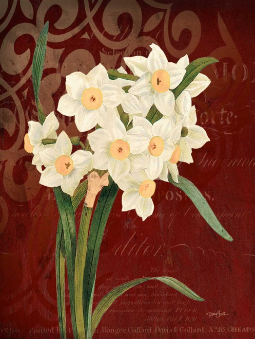 Stimson Diane Narcissus 1 Decorativo cm73X54 Immagine su CARTA TELA PANNELLO CORNICE Verticale