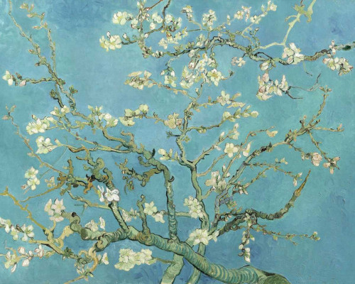 Van Gogh Vincent Almond Blossoms 1890 Floreale cm52X66 Immagine su CARTA TELA PANNELLO CORNICE Orizzontale