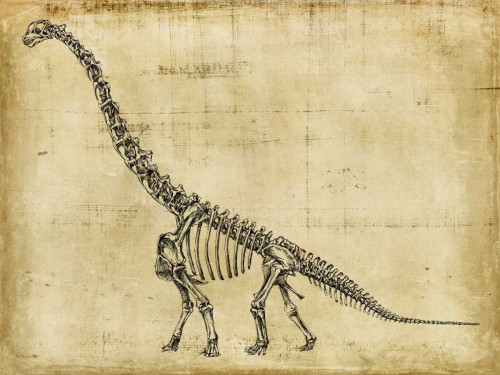 Harper Ethan Brachiosaurus Studio Animali cm84X111 Immagine su CARTA TELA PANNELLO CORNICE Orizzontale