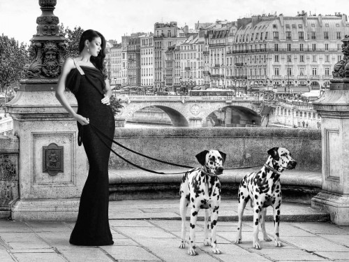 Lauren Julian Walking in Paris Animali cm76X100 Immagine su CARTA TELA PANNELLO CORNICE Orizzontale