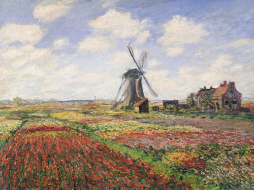 Monet Claude Campi di tulipani con mulino a vento Paesaggio cm84X111 Immagine su CARTA TELA PANNELLO CORNICE Orizzontale