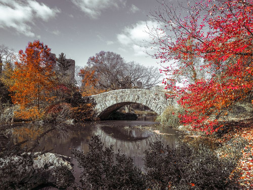 Frank Assaf Ponte di Gapstow in autunno, Central park, New York Natura cm61X82 Immagine su CARTA TELA PANNELLO CORNICE Orizzontale