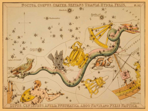 Aspin Jehoshaphat Gufo, Corvus, Cratere, Leo Uranie, Hydra, Felis, Lupus, Centaurus, Antlia l'aria Argo Nav Animali cm54X73 Immagine su CARTA TELA PA