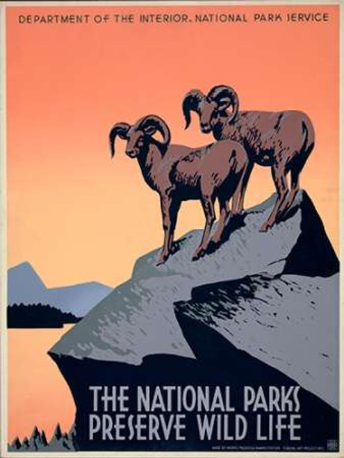 Hirt J. I Parchi Nazionali Preserve Wild Life, ca. 1936 1939 museo cm117X87 Immagine su CARTA TELA PANNELLO CORNICE Verticale