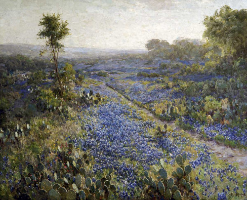 Onderdonk Julian Campo di Texas Bluebonnets e Prickly Pear Cactus Floreale cm61X75 Immagine su CARTA TELA PANNELLO CORNICE Orizzontale