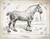 Babbitt Gwendolyn Farm Cavallo I Animali cm50X64 Immagine su CARTA TELA PANNELLO CORNICE Orizzontale