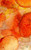 Allen Kimberly Arancione Giorno B Botanico cm73X45 Immagine su CARTA TELA PANNELLO CORNICE Verticale