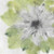 Allen Kimberly Morbido Blooming Giallo Floreale cm73X73 Immagine su CARTA TELA PANNELLO CORNICE Quadrata