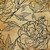 Greene Taylor Motivo floreale II Floreale cm54X54 Immagine su CARTA TELA PANNELLO CORNICE Quadrata