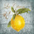 Knutsen Conrad il limone francese del paese cm54X54 Immagine su CARTA TELA PANNELLO CORNICE Quadrata