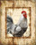 Knutsen Conrad Farm Fresh Gallo Cucina cm91X73 Immagine su CARTA TELA PANNELLO CORNICE Verticale