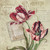 Robinson Carol Francese Tulipani II Floreale cm27X27 Immagine su CARTA TELA PANNELLO CORNICE Quadrata
