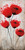 Brink Catherine Luminous Crimson II Floreale cm109X54 Immagine su CARTA TELA PANNELLO CORNICE Verticale