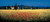 Short David Tuscan Panorama   Poppies europeo cm70X164 Immagine su CARTA TELA PANNELLO CORNICE Orizzontale