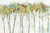 Pearce Allison Foresta di marmo Paesaggio cm87X131 Immagine su CARTA TELA PANNELLO CORNICE Orizzontale