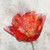 Roko Ken Inkly Floral II Floreale cm87X87 Immagine su CARTA TELA PANNELLO CORNICE Quadrata
