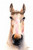Sweet Eric Spirit Horse Animali cm118X77 Immagine su CARTA TELA PANNELLO CORNICE Verticale