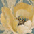 Loreth Lanie giallo papavero Floreale cm82X82 Immagine su CARTA TELA PANNELLO CORNICE Quadrata