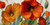 Loreth Lanie Poppy Splendor II Floreale cm50X100 Immagine su CARTA TELA PANNELLO CORNICE Orizzontale