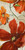 Pinto Patricia Modernismo Red I Floreale cm160X80 Immagine su CARTA TELA PANNELLO CORNICE Verticale