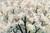 Alves Helena Pera fiori in primavera Floreale cm78X118 Immagine su CARTA TELA PANNELLO CORNICE Orizzontale