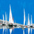 Demagny White Sails II Costiero cm87X87 Immagine su CARTA TELA PANNELLO CORNICE Quadrata
