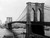 Loeffler A. Ponte di Brooklyn di New York 1900 Vintage ? cm84X111 Immagine su CARTA TELA PANNELLO CORNICE Orizzontale