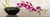 Mills Shin Orchid Arrangement Floreale cm70X208 Immagine su CARTA TELA PANNELLO CORNICE Orizzontale