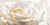 Thomlinson Jenny Bianco su bianco Floreale cm84X171 Immagine su CARTA TELA PANNELLO CORNICE Orizzontale