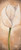 Lotus Lenna Tulip su beige III Floreale cm125X52 Immagine su CARTA TELA PANNELLO CORNICE Verticale