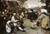 Bruegel Pieter the Elder contadini danza Danza cm66X96 Immagine su CARTA TELA PANNELLO CORNICE Orizzontale