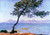 Monet Claude dAntibes Capitolo Costiero cm66X93 Immagine su CARTA TELA PANNELLO CORNICE Orizzontale