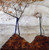 Schiele Egon Autumn Sun I Astratto cm70X70 Immagine su CARTA TELA PANNELLO CORNICE Quadrata