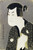 Sharaku Toshusai Sakata Hangoro III Figurativo cm84X54 Immagine su CARTA TELA PANNELLO CORNICE Verticale