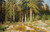 Shishkin Ivan Ivanovich L'albero Tree Grove, studio Paesaggio cm52X80 Immagine su CARTA TELA PANNELLO CORNICE Orizzontale