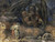Stock Henry John Dante e Virgilio incontro Lucifer In Hell Figurativo cm64X86 Immagine su CARTA TELA PANNELLO CORNICE Orizzontale