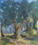 Zucca Gianfranco Olivi secolari campagna sardegna Paesaggio cm95X80 Immagine su CARTA TELA PANNELLO CORNICE Verticale