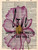 Stampa su tela Poster Greene Taylor AMORE Floreale Verticale