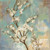 Stampa su tela Poster Vassileva Silvia I fiori di Kyoto II Floreale Quadrata