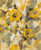 Stampa su tela Poster Vassileva Silvia Floreale giallo I Floreale Verticale