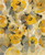Stampa su tela Poster Vassileva Silvia Floreale giallo II Floreale Verticale