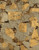 Stampa su tela Poster Archivio Pietra dorata Oro I Astratto Verticale