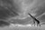 Stampa su tela Poster Anonymous Giraffe, cieli africani Animali Orizzontale